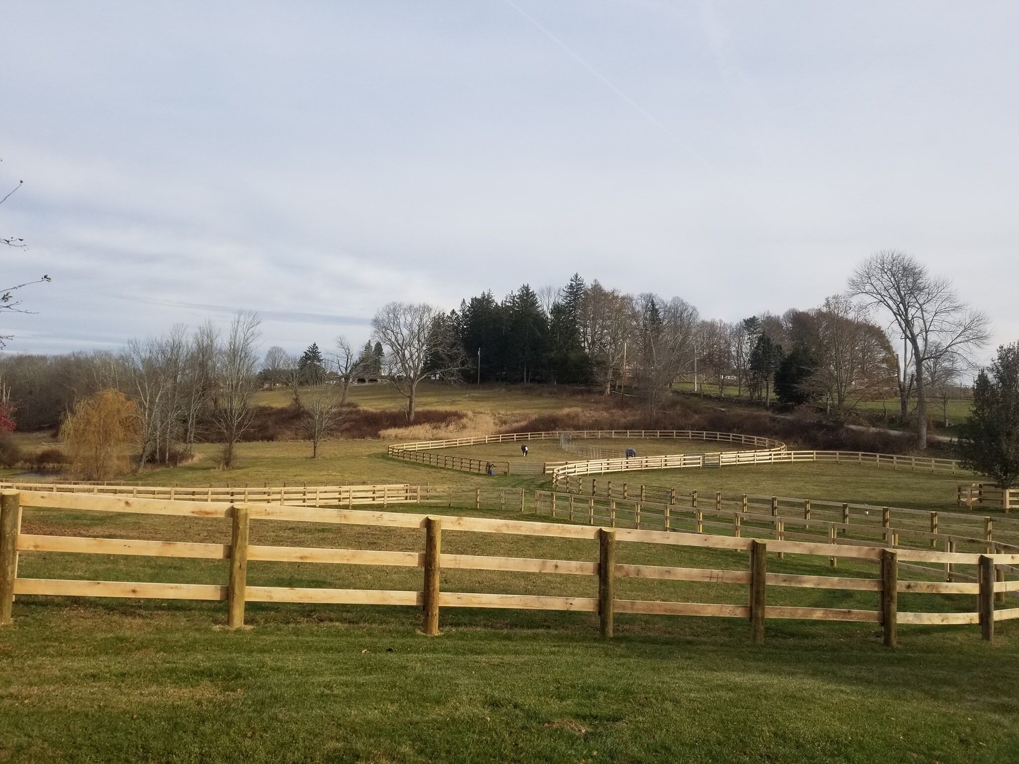 HORSE FENCE 2