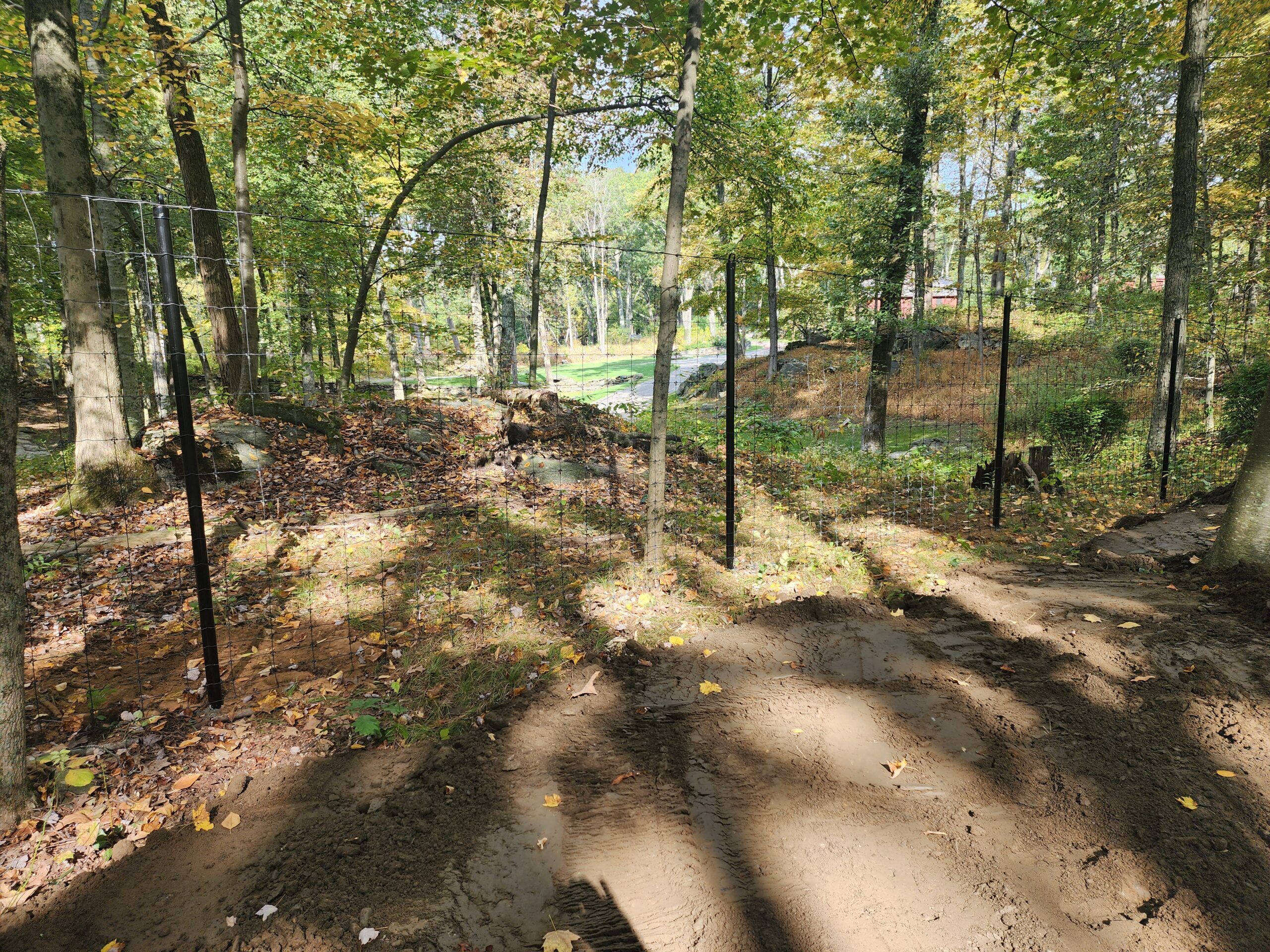 DEER FENCE 2